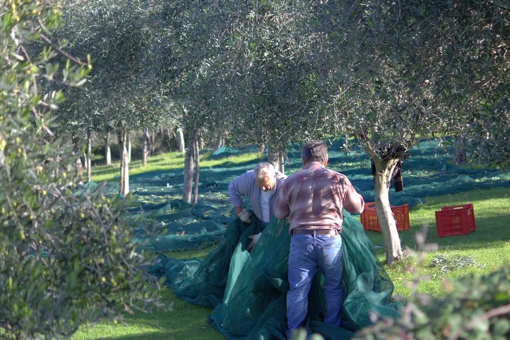 B&B Colle Perrini Country House Casperia 외부 사진