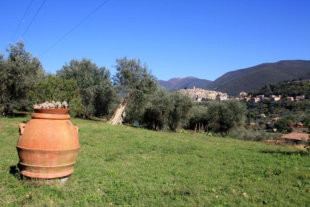B&B Colle Perrini Country House Casperia 외부 사진