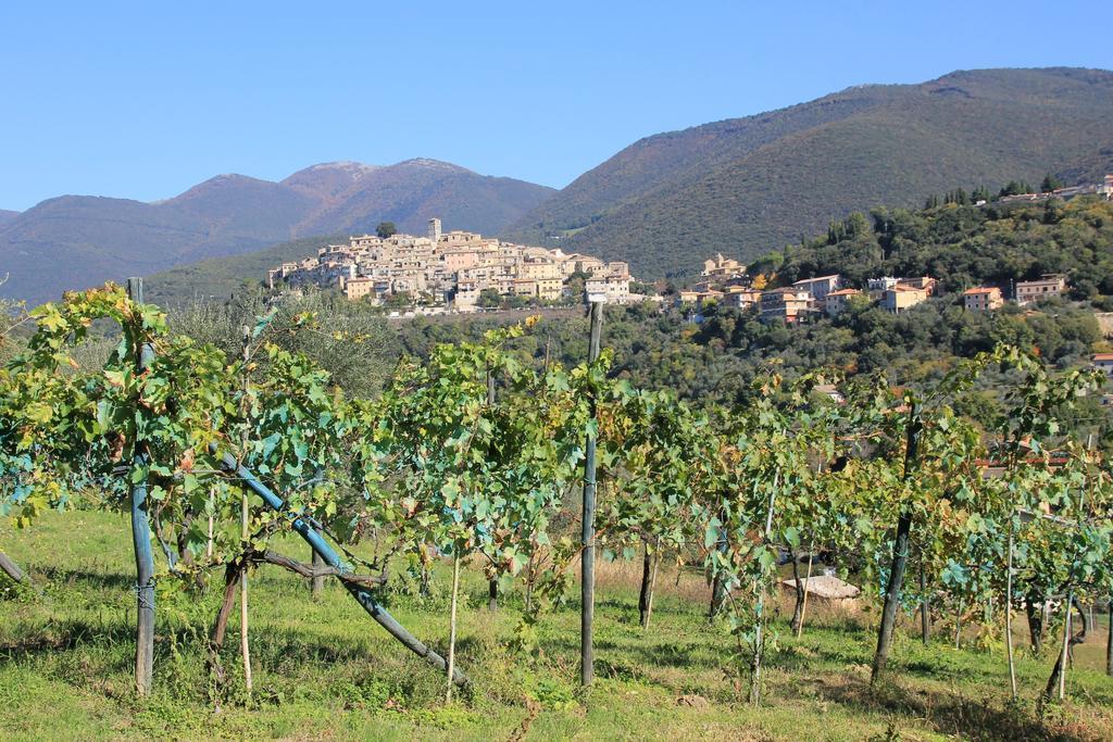 B&B Colle Perrini Country House Casperia 외부 사진