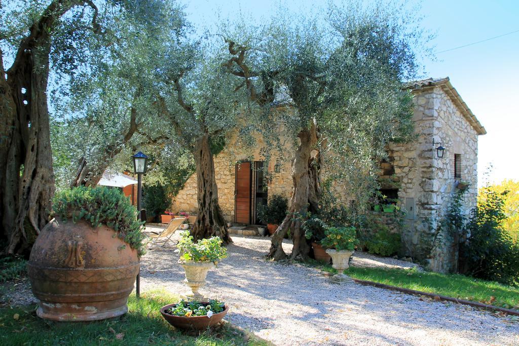 B&B Colle Perrini Country House Casperia 외부 사진